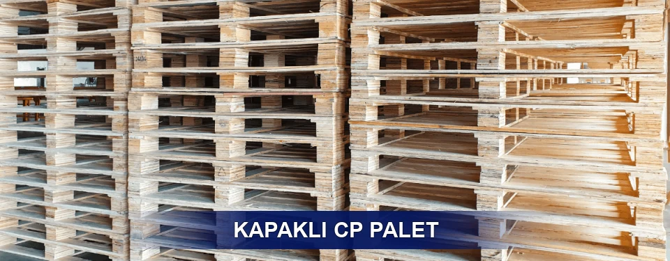 Kapaklı Standart Tipler