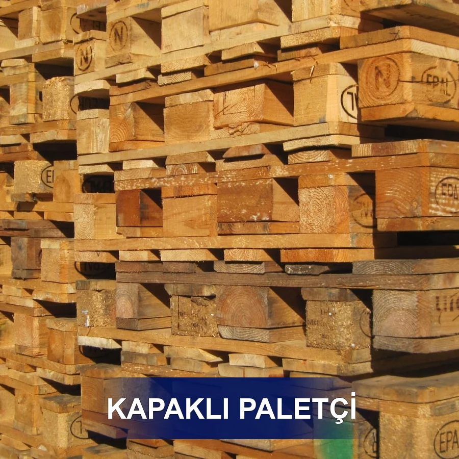 Kapaklı Paletçi